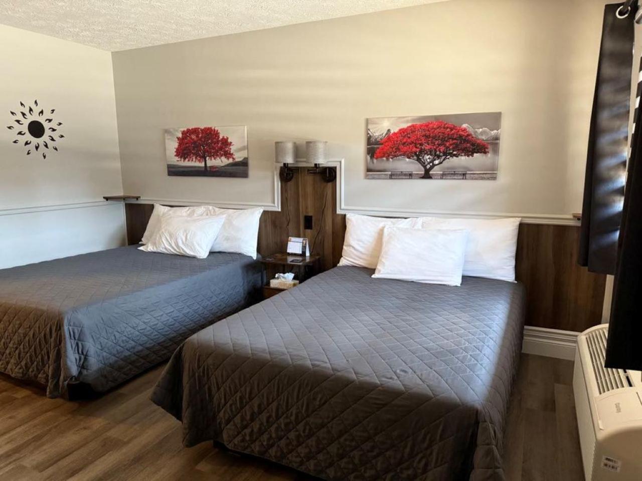 Auberge Micky Inc Edmundston Exteriér fotografie